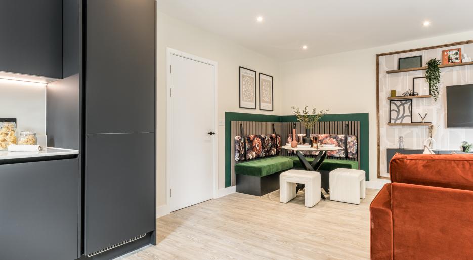 NGP show apartment
