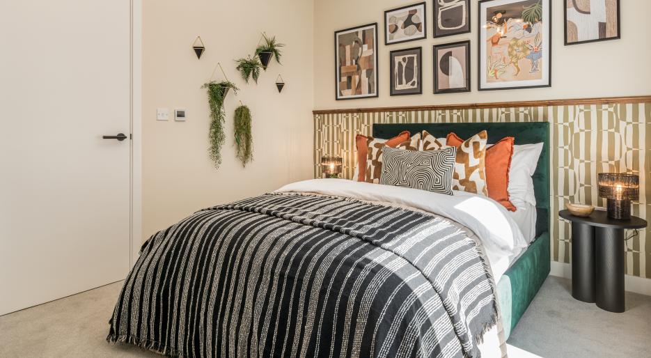NGP show apartment