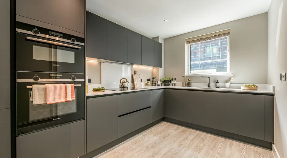 North Gate Park Plot 2 The Ash SH Kitchen to Use