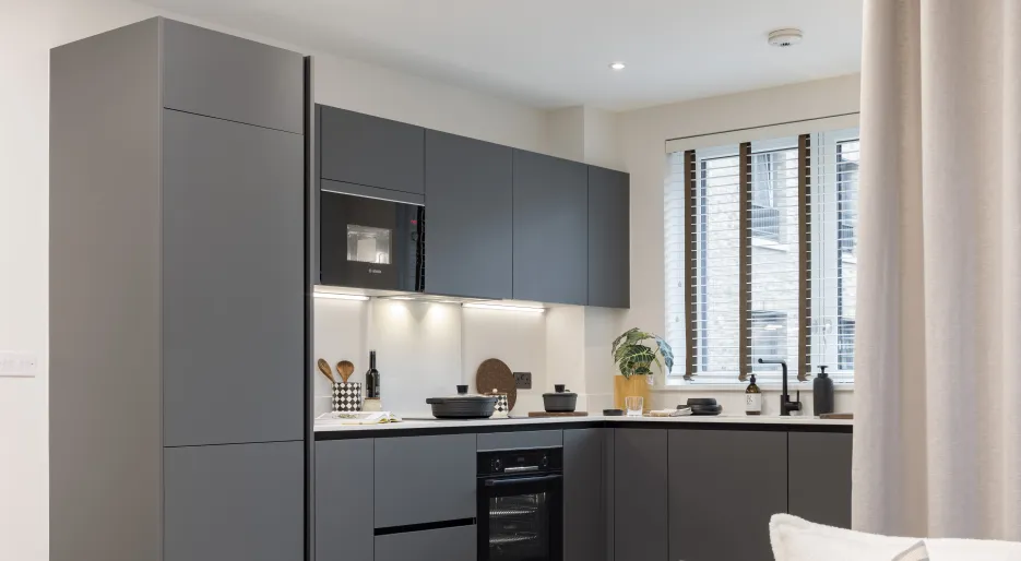 Apartment 43 - Show Apartment - Foxtail House 