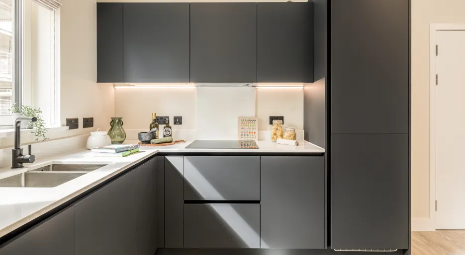 NGP, two bedroom apartment, kitchen