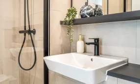 NGP show apartment