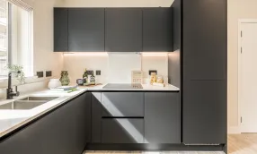 NGP show apartment