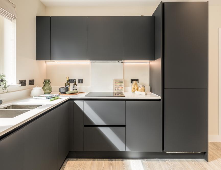 NGP show apartment
