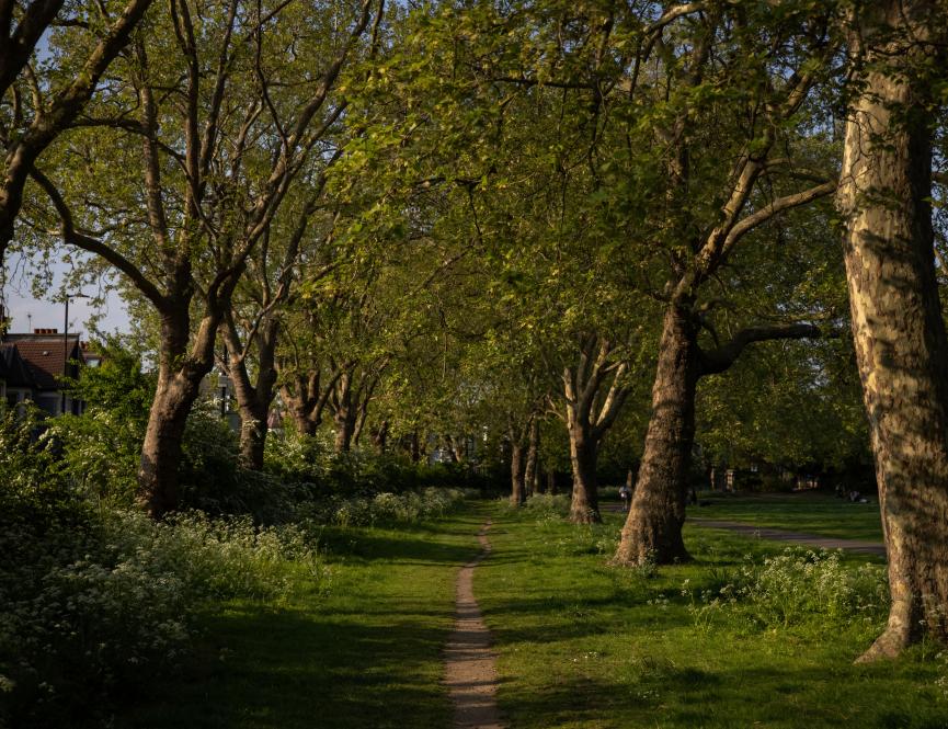 Chestnuts Park