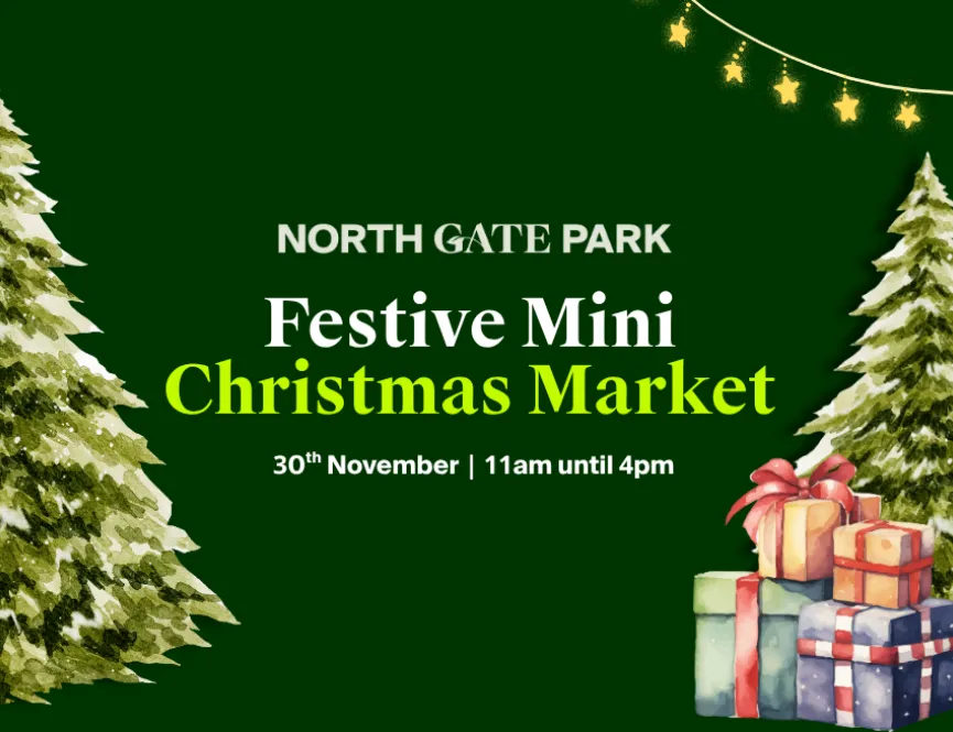 North Gate Park Mini Christmas Market 